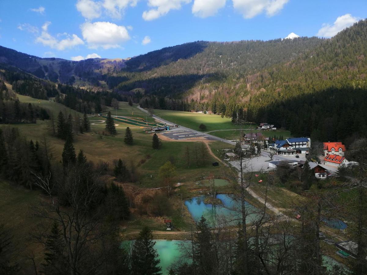 Haus Lenz Ferienwohnungen - Fam Ostermann Puchberg am Schneeberg Buitenkant foto