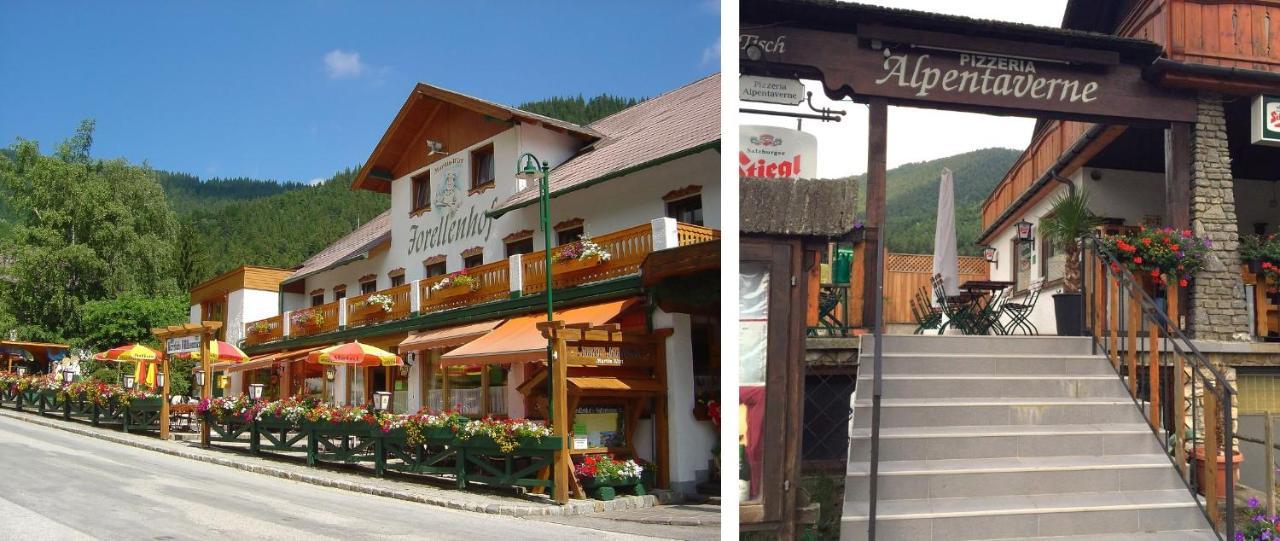 Haus Lenz Ferienwohnungen - Fam Ostermann Puchberg am Schneeberg Buitenkant foto