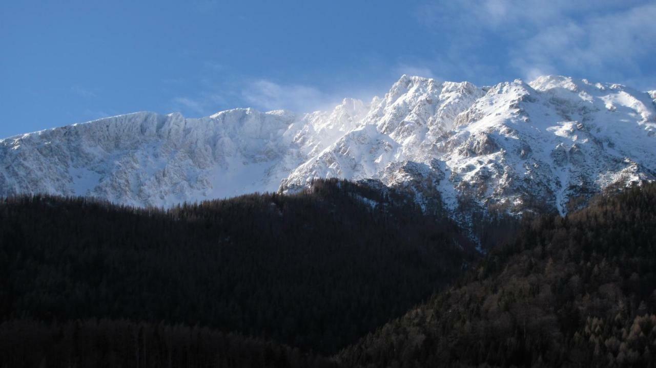 Haus Lenz Ferienwohnungen - Fam Ostermann Puchberg am Schneeberg Buitenkant foto
