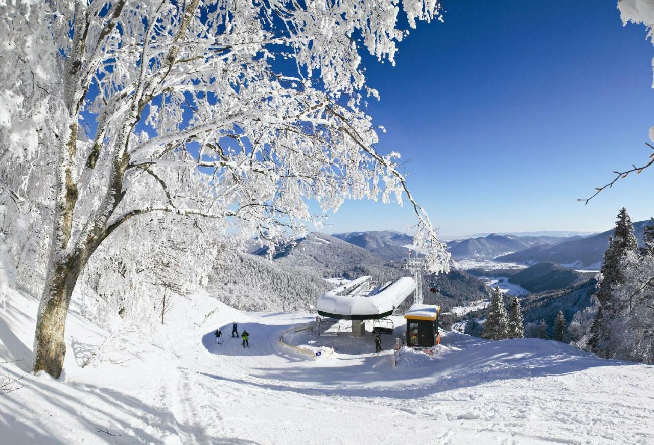 Haus Lenz Ferienwohnungen - Fam Ostermann Puchberg am Schneeberg Buitenkant foto
