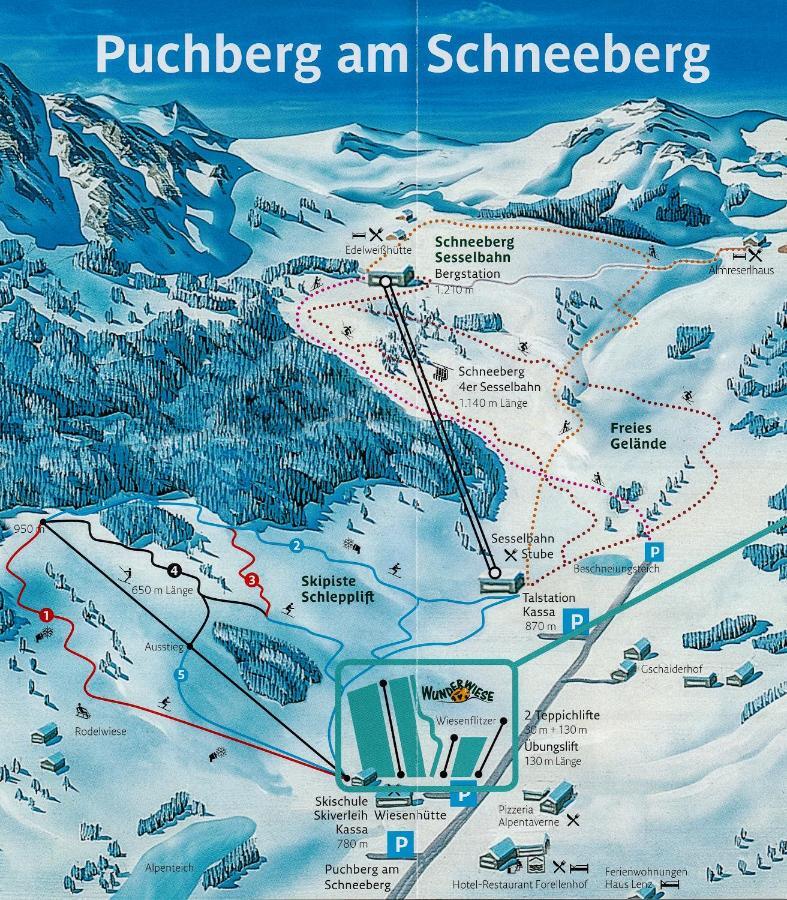 Haus Lenz Ferienwohnungen - Fam Ostermann Puchberg am Schneeberg Buitenkant foto